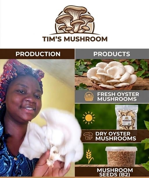TIM'S MUSHROOM