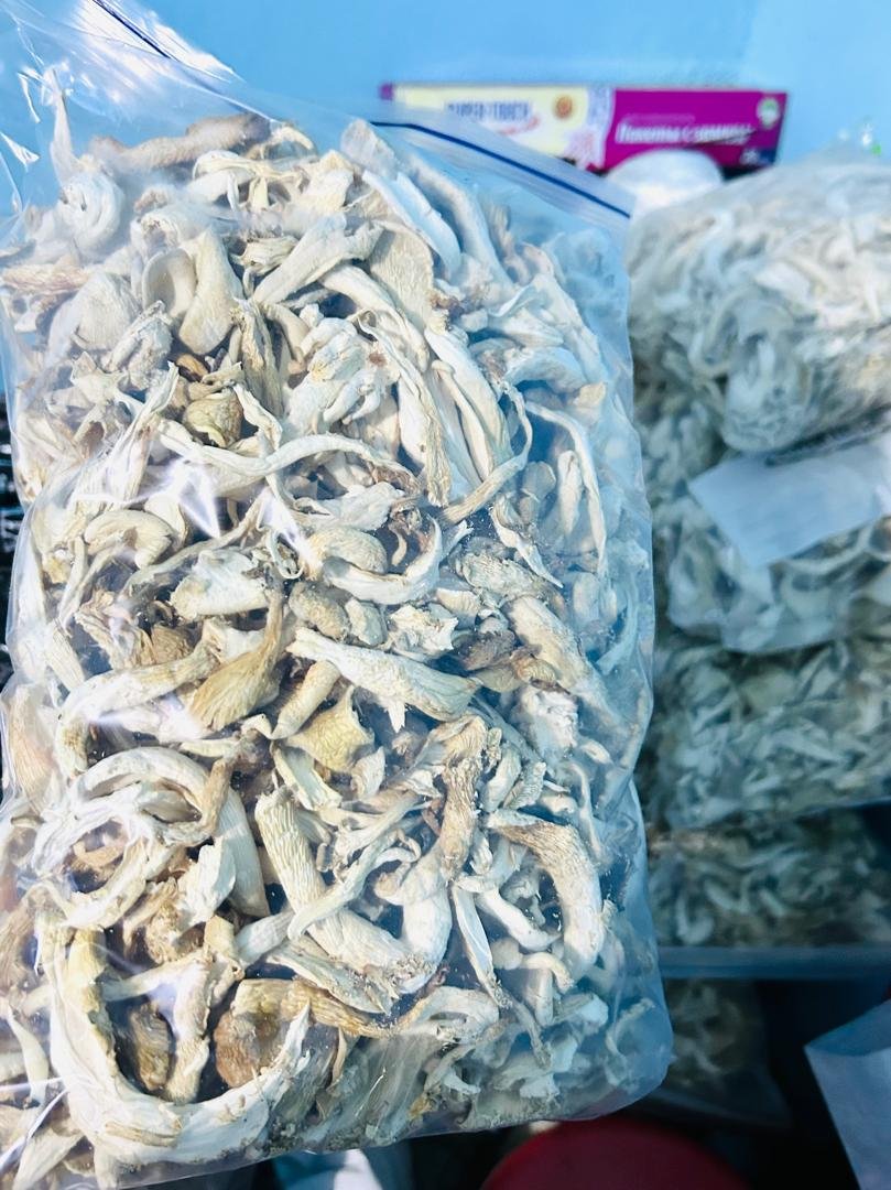 Dry Oyster Mushroom